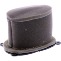 AIR FILTER FOAM (OE SPARE PART) 3061