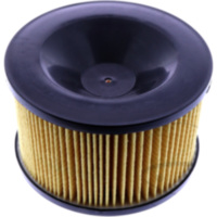 Luftfilter Originalersatzteil 1274537