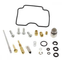 Carburetor repair kit 261263