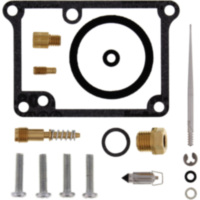 Carburettor repair kit all balls racing 261313