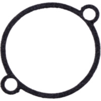 FLOAT CHAMBER SEAL (OE SPARE PART) 4255