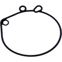 FLOAT CHAMBER SEAL (OE SPARE PART) 4260