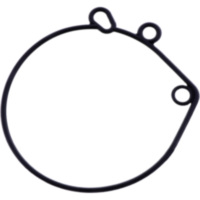 FLOAT CHAMBER SEAL (OE SPARE PART) 4263