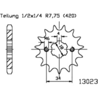 Zahnrad Ritzel 19Z Teilung 420