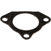 Exhaust gasket S410270012021