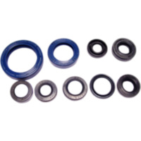 Engine oil seal kit P400250400024