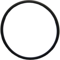 Intake gasket o-ring M752504900094