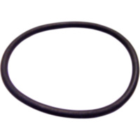 O-ring M753004900094