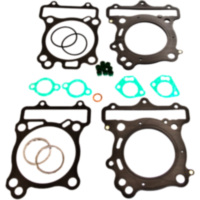 Gasket set topend P400510600043