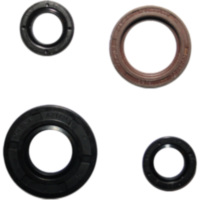 Engine oil seal kit P400010400034