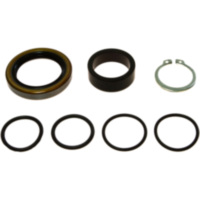 Counter shaft seal kit 254003