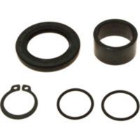 Counter shaft seal kit 254017