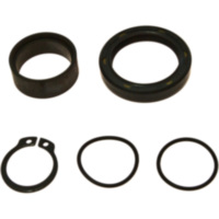 Counter shaft seal kit 254016