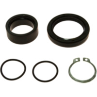 Counter shaft seal kit 254012