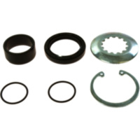 Counter shaft seal kit 254011