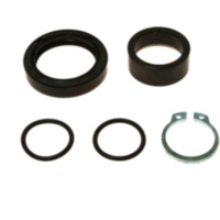 Counter shaft seal kit 254007