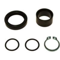 Counter shaft seal kit 254005