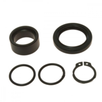 Counter shaft seal kit 254029