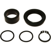 Counter shaft seal kit 254026