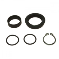 Counter shaft seal kit 254028