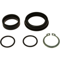 Counter shaft seal kit 254030