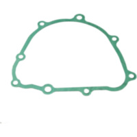 Generator cover gasket S410210149033