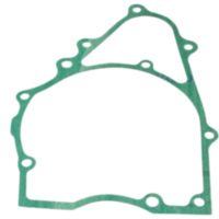 Generator cover gasket S410210149034