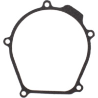 Generator cover gasket S410250017013