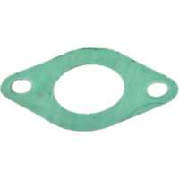 Intake gasket