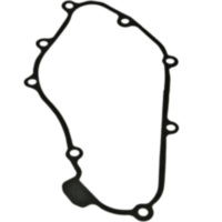 Ignition cover gasket S410210032002