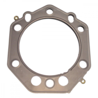 Cylinder head gasket S410190001048