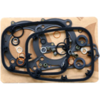 Complete gasket / seal kit P4000688509802