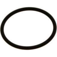 Intake gasket o-ring M752503350094