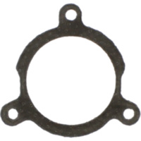 Exhaust gasket S410270012005