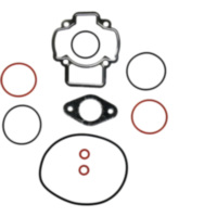 Complete gasket / seal kit P400480700055
