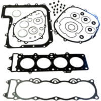 Gasket set complete P400250870045