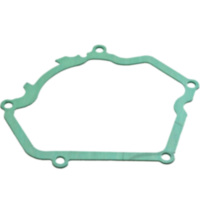 Generator cover gasket S410485017063