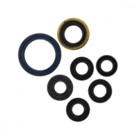 Engine oil seal kit P400250400066