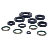 Engine oil seal kit P400110400024