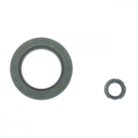 Engine oil seal kit P400210400901