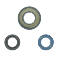 Engine oil seal kit P400480400280