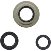 OIL SEAL KIT ATHENA 2039