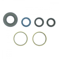 Engine oil seal kit P400485400015