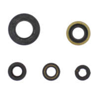 Engine oil seal kit P400485400022