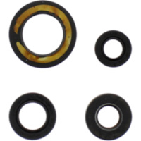 Engine oil seal kit P400485400032