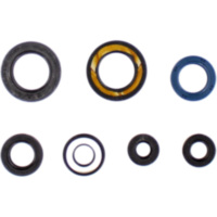 Engine oil seal kit P400485400051