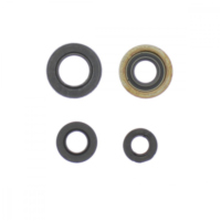 Engine oil seal kit P400485400136