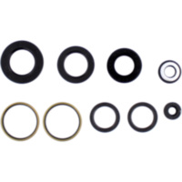 Engine oil seal kit P400485400249