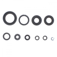 Engine oil seal kit P400485400267