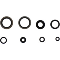 Engine oil seal kit P400510400252